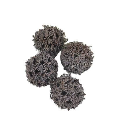 China Christmas Wedding Family Decorations 2 cm single-head rodless art small fresh dried flower dark brown maple fruit Passepartout art small fresh DIY shooting for sale