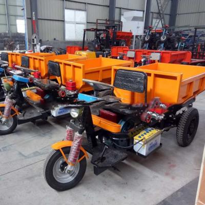 China China high quality low price electric cargo tricycle adult electric tricycle for sale