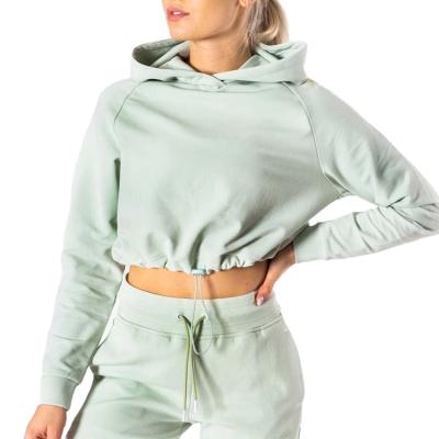 China Anti-Wrinkle Design Gym Wear Fitness Women Sport Adjustable Clean Cotton Cropped Hoodie for sale