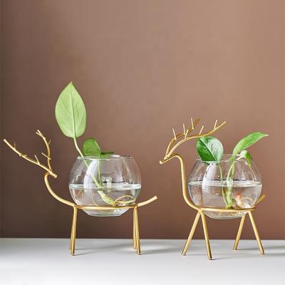 China New Wave Dill Deer Plant Vase Holder Decoration Modern Creative Green Glass Home Minimalist Dining Table Living Room Aquatic Plants for sale