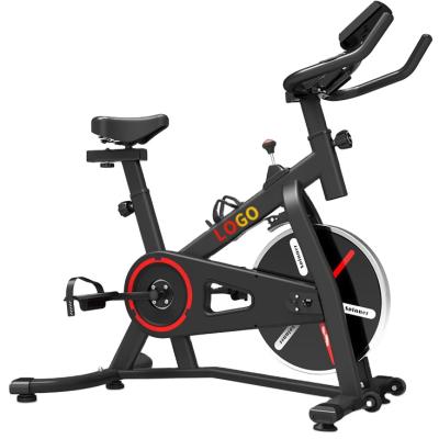 China 8 Kg Universal Magnetic Gym Flywheel Customized Exercise Master Equipment Indoor Cardio Sports Customized Spinning Bike Commercial for sale