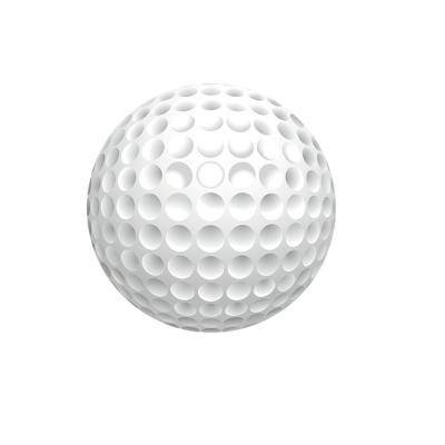 China Wholesale 2 piece synthetic rubber golf balls premium practice marker custom logo fitness and entertainment titelist for sale