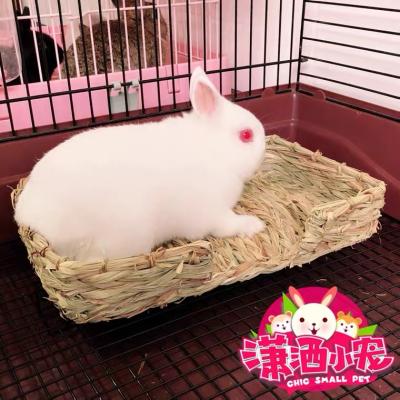 China High Quality Reusable Travel Pet Pads Dutch General Winter Straw Mat Warm Rabbit Chinchilla Pig Hamster for sale