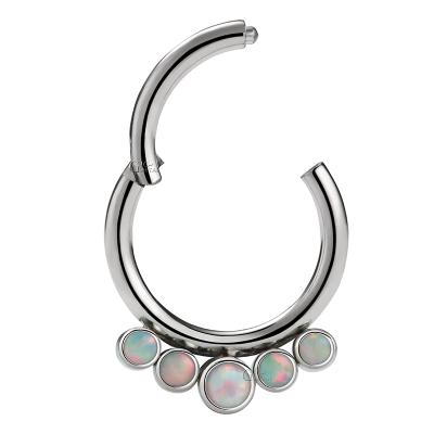 China FASHIONABLE 16G ASTM F136 Segment Ring Septum Ring Daith Clicker Puncture Titanium Handcrafted Hinged Body Jewelry for sale