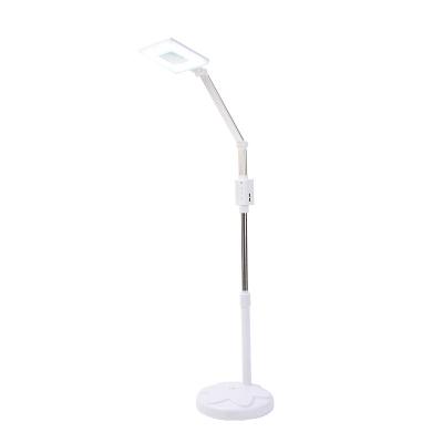 China Light Professional Beauty Salon Floor Stand Magnifier Beauty Equipment LED Tattoo Lamp for sale