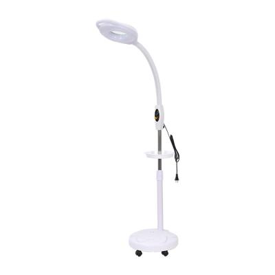 China Professional Led Floor Stand Magnifier Beauty Equipment Tattoo Light Floor Stand Tattoo Desk Lamp Tattoo Enlargement Lamp for sale