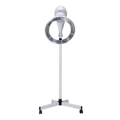 China 2022 Beauty Equipment 2022 Portable High Quality Mobile Electric Hair Salon Hair Salon Stations Vertical Hair Hood Dryer Standing for sale