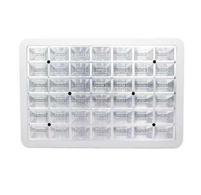 China Seed Starting Safety Colorful Light Fruit Greenhouse Agriculture Indoor Vegetable Led Plant Grow Light for sale