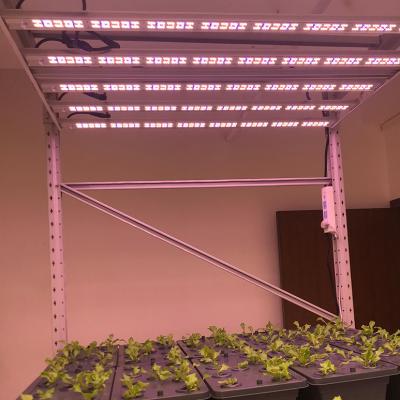 China Seed Starting 650W IP66 Professional Factory Wholesale 3000K Long Lasting Veg Light Led Grow Light for sale