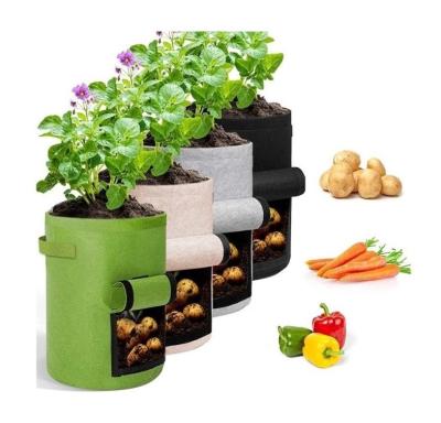 China Indoor and Outdoor Plant Growth All Size 7 Gallon Eco-friendly Fabric Pot Color Nonwoven Gardening Vegetable Various Grow Spawning Bags for sale