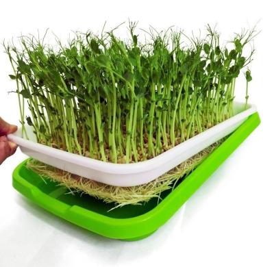 China Indoor Plant Grow Greenhouse or Garden Bean Home Green Durable Plastic Germinat Seeding Tray for sale