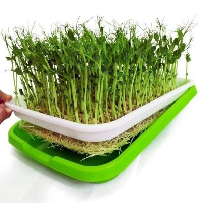 China Indoor Plant Grow Greenhouse Or Garden Not Coated Microgreen Plastic Green Germination Seeding Trays for sale