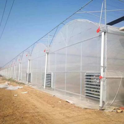 China Greenhouse seedling growing cheap high quality low cost tunnel greenhouse agricultural greenhouse for sale for sale