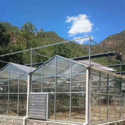 China Greenhouse Seedling Growing Seedling Raising Plastic Sheet Multi-span Low Cost Productive Agriculture Greenhouse for sale