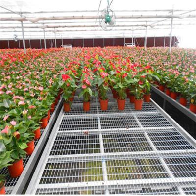 China Suitable for target greenhouse planting ecological garden greenhouse equipment hydroponic hot dip galvanized mesh for sale