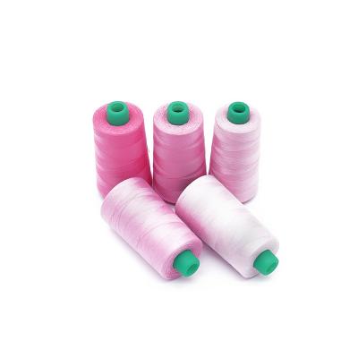 China Best Quality High Tenacity Hot Selling 100% Spun Polyester 40/2 Colorful Pink Sewing Machine Thread For Medium Weight Fabric for sale