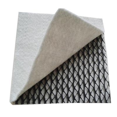 China Industrial Compound Drainage Geo Net Price HDPE Mesh 3D Composite Geonet for sale