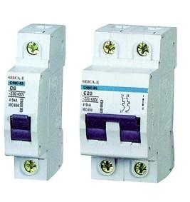 China 2 Pole Electrical Residual Circuit 20 amp 400v 6000a breaking capacity for sale