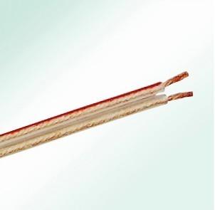 China XLPE Insulated Fire Resistant Electrical Cable with 2 Core Copper Conductive Wire for sale