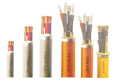 China XLPE Insulated Electric Power Cable with Copper Conductor PVC Sheathed Fire Resistant for sale