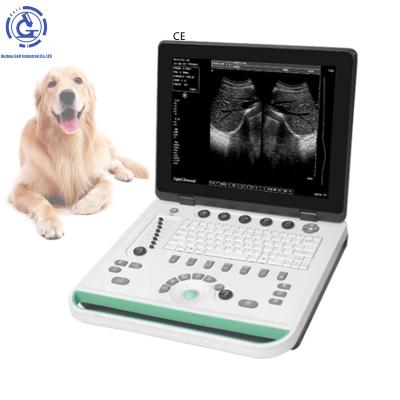 중국 CE OB Clinic Instruments Names Portable Animal Veterinary Ultrasound Equipment Ultrasound Medical Ultrasound Instruments 판매용