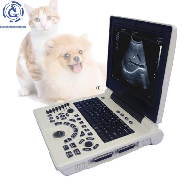 China Small Animal Ultrasound OB Digital Animal Medical Ultrasound Ultrasound Medical Dog Kidney Ultrasound Te koop