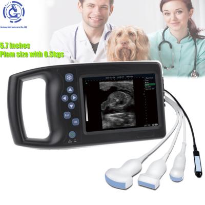 China OB Scan Light Image Digital Mini Ultrasound Machine Portable Veterinary Te koop