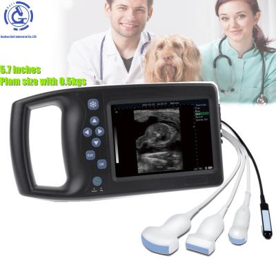 China Handheld Portable Veterinary OB Dog Use Cat Use Ultrasound Scanning Machine Price Te koop