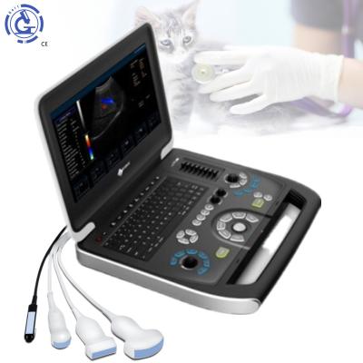 China OB Ultrasound Machine 4d Color Doppler Ultrasound ICEN ON SALE for sale