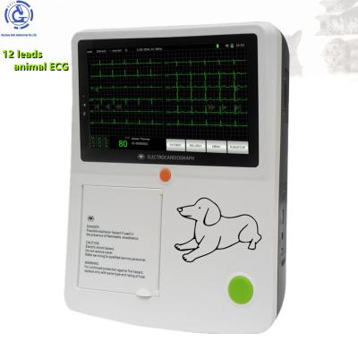 China Animal portable electrocardiogram ecg machine electrocardiograph metal use digital 3 12 channel leads ecg for sale