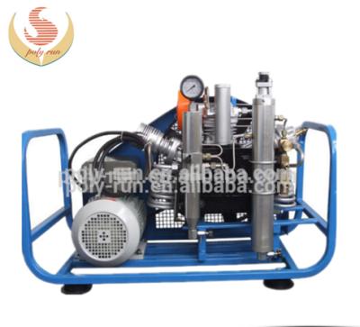 China PRBW200-2 PRBW200-2 High Pressure Scuba Diving Breathing Air Compressor for sale