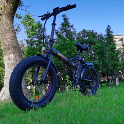 China COOLFLY Alloy 36v 48v 500w 750w Foldable Electric Bicycle Aluminum Ebike For Beach for sale