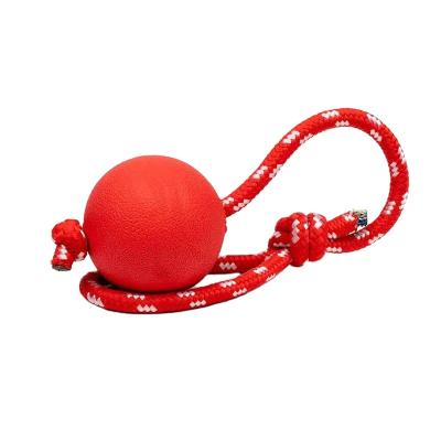 China Sustainable Natural Indestructible Rubber Tooth Puzzle Bite RP Puppy Pet Cleaning Chew Toy Ball for sale