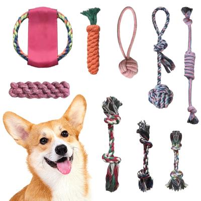 China Eco Friendly Durable Newcomer Monthly Manufacturer Q.I. Interactive Training Rope Cat Dog Pet Toys for sale