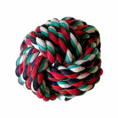 China Eco Friendly Durable Newcomer Monthly Manufacturer Q.I. Interactive Training Rope Cat Dog Pet Toys for sale