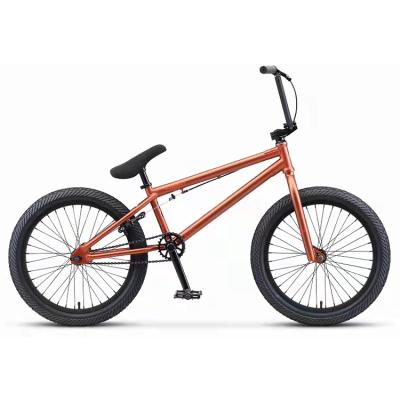 China Factory China DIRT JUMP 2022 new style bmx bike chromoly new style lightweight bmx bike chromoly dirt jump freestyle for sale for sale