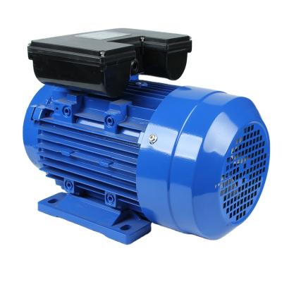 China 3000rpm KW Totally Enclosed 7.5kw 15kw Single Phase Capacitor Induction Motor Two 2 20 KW Electric Motor for sale