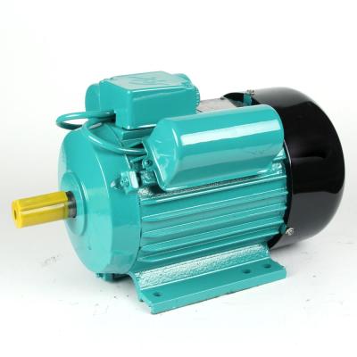 China YL100L2-4 3KW 4HP 220V Single Phase Electric Totally Enclosed AC Motor for sale