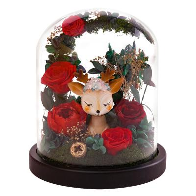 China Real Flowers Immortality Flower in Real Glass Cover Deer Rose Dried Flower Gift For Christmas Valentine Day for sale