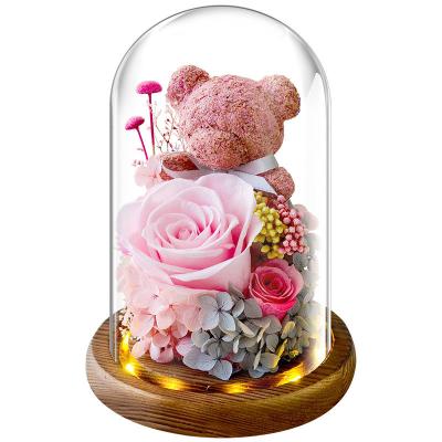 China Immortal Moss Bear Dried Flower Glass Dome with LED Decoration Gift Box as Christmas Birthday Gift 21cm*21cm*26cm for sale