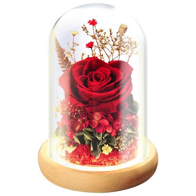 China Preserved Flowers in Glass Dome Stabilized Forever Eternal Roses for Mom Wife Valentine's Day 16cm*16cm*22.5cm for sale