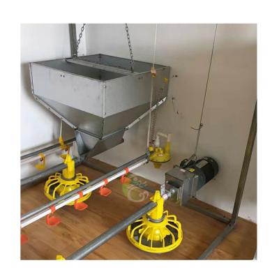 China Long Life Wholesale Automatic Ground Feeding System For Poultry Chicken Farm for sale