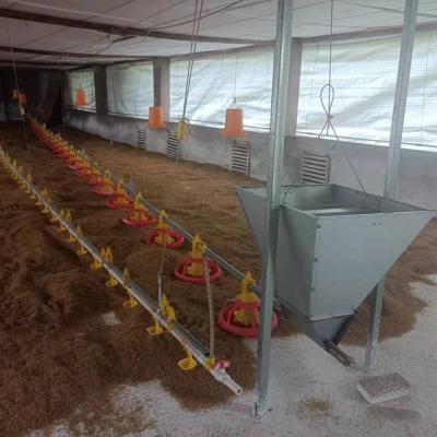 China Long Life Poultry Farm Equipment Flooring Raising System For Broiler With Automatic Feeding Pan Line for sale