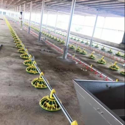 China Long Life Automatic Poultry Pan Feeding Line Anti-Colic Self Feeding System for sale