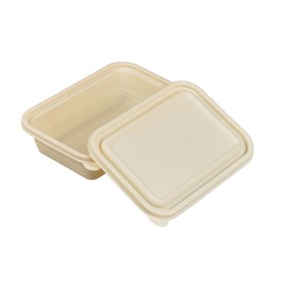 China Biodegradable OEM Disposable Microwave Cornstarch Safe Takeout Food Packaging Container Eco - Friendly for sale