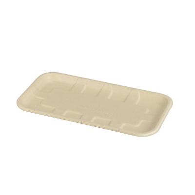 China Disposable Bagasse Tray 100% Biodegradable Environmentally Friendly Bagasse Food Fruit Disposable Tray for sale