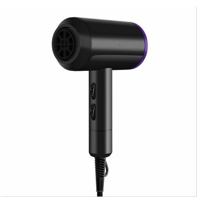 China Large Power Leg Handle Constant Temperature Straight Nozzle No Hurt Professional Hair Salon Hair Dryer for sale