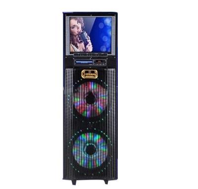 China Outdoor Activities Outdoor DJ Rechargeable Speaker With Wooden Screen 12inch 100W for sale