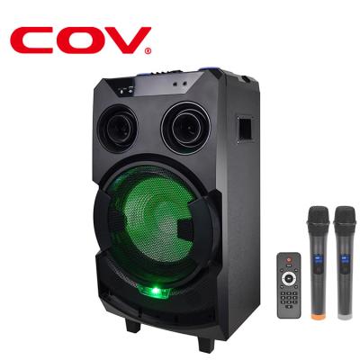 China Outdoor Activities VOC DJ Party Speaker 12inch Rechargeable Trolley Portable Speaker With Laser Light for sale