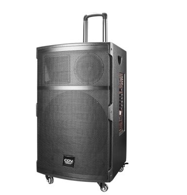 China Hot Selling Party To Product Trolley Speaker Rechargeable Speaker With Wireless Microphone for sale